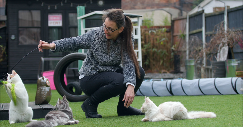 Lady Playing with Cat in Garden