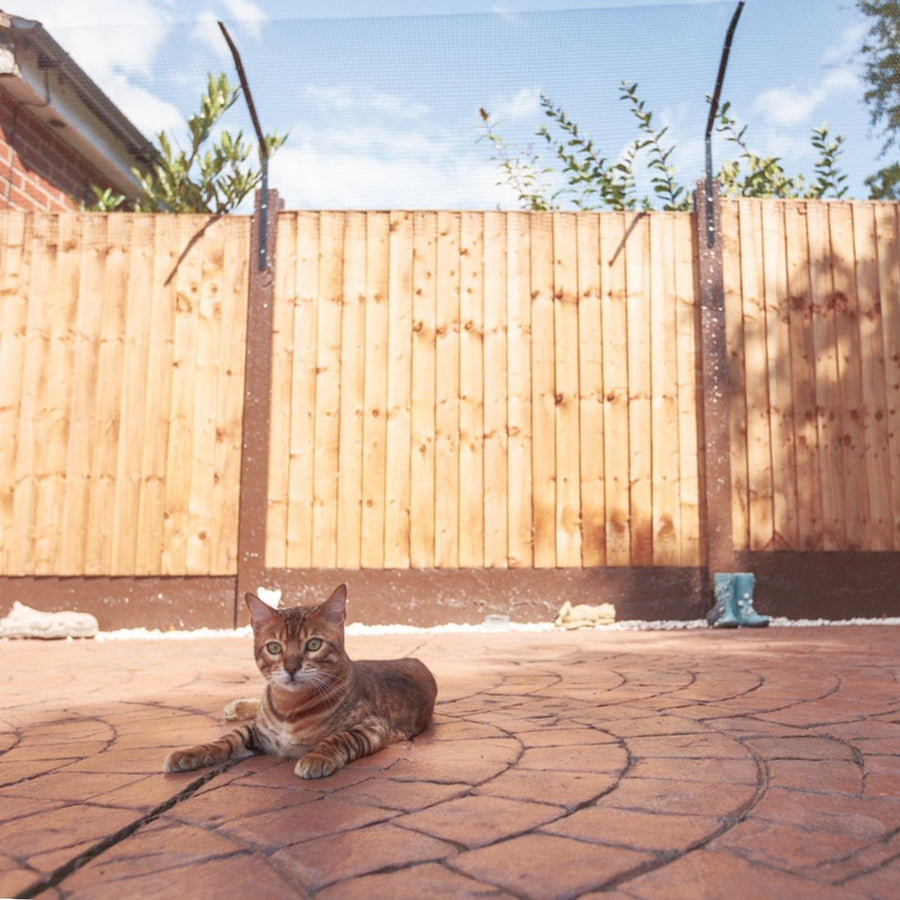 Кошка на забор своими руками