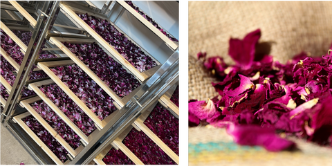 Apothecary Rose petals are dried and stored and form the base botanical in Secret Garden Distillery luxury Apothecary Rose Gin