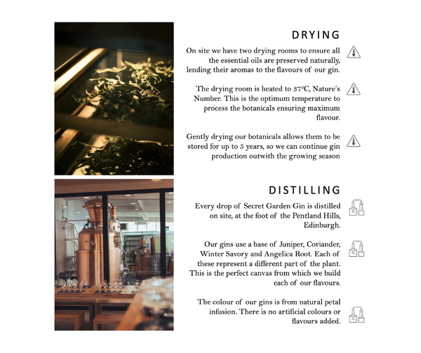 Drying and Distilling are the final two stages in Secret Garden Distillery Seed to Sip process to produce luxury premium gins