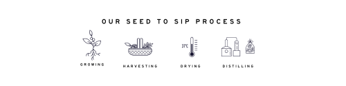 From Seed to Sip Secret Garden Distillery sustainable process to produce luxury premium gin
