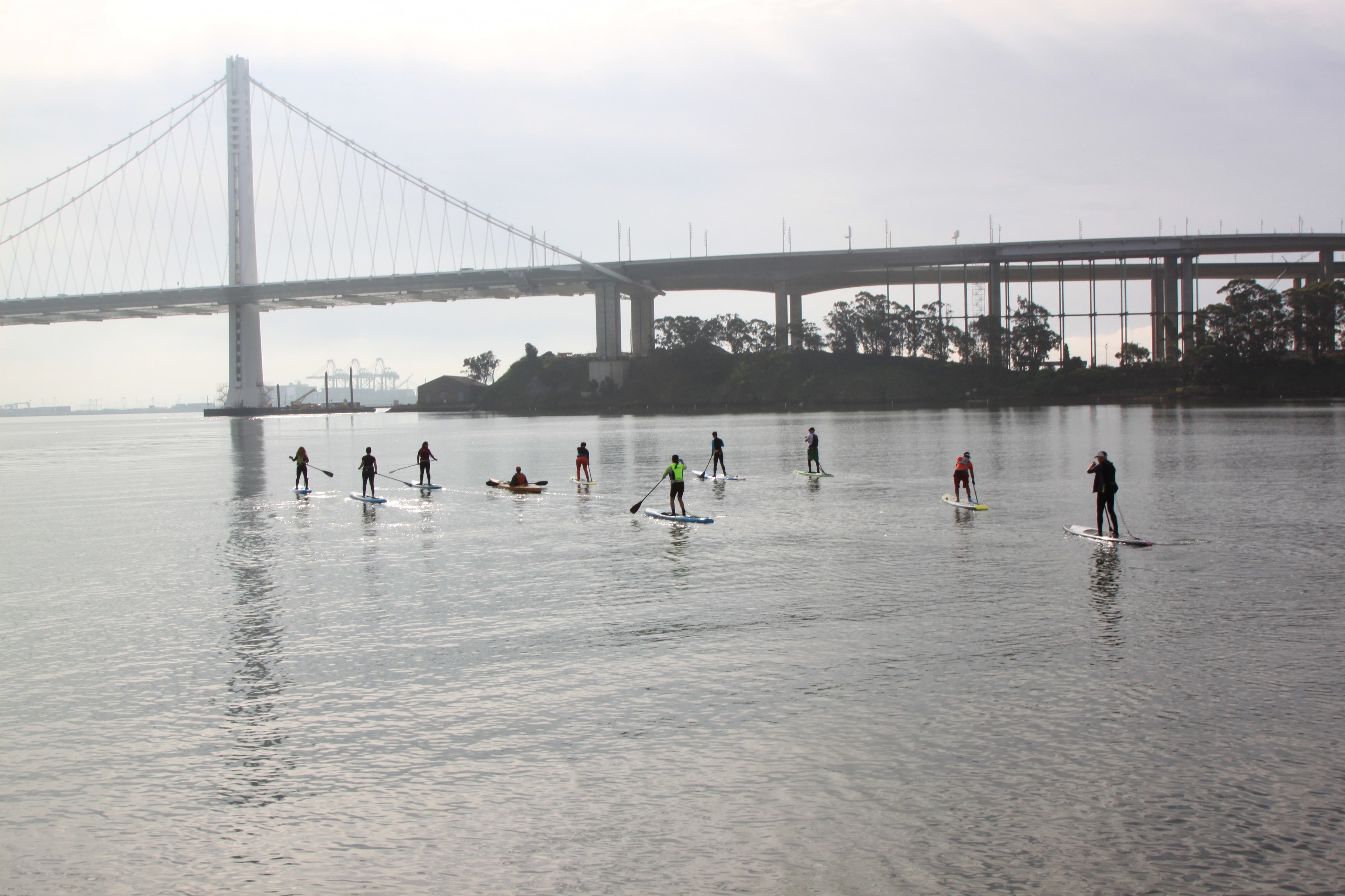 image of SUP paddle boarders under the San Francisco Bay Bridge