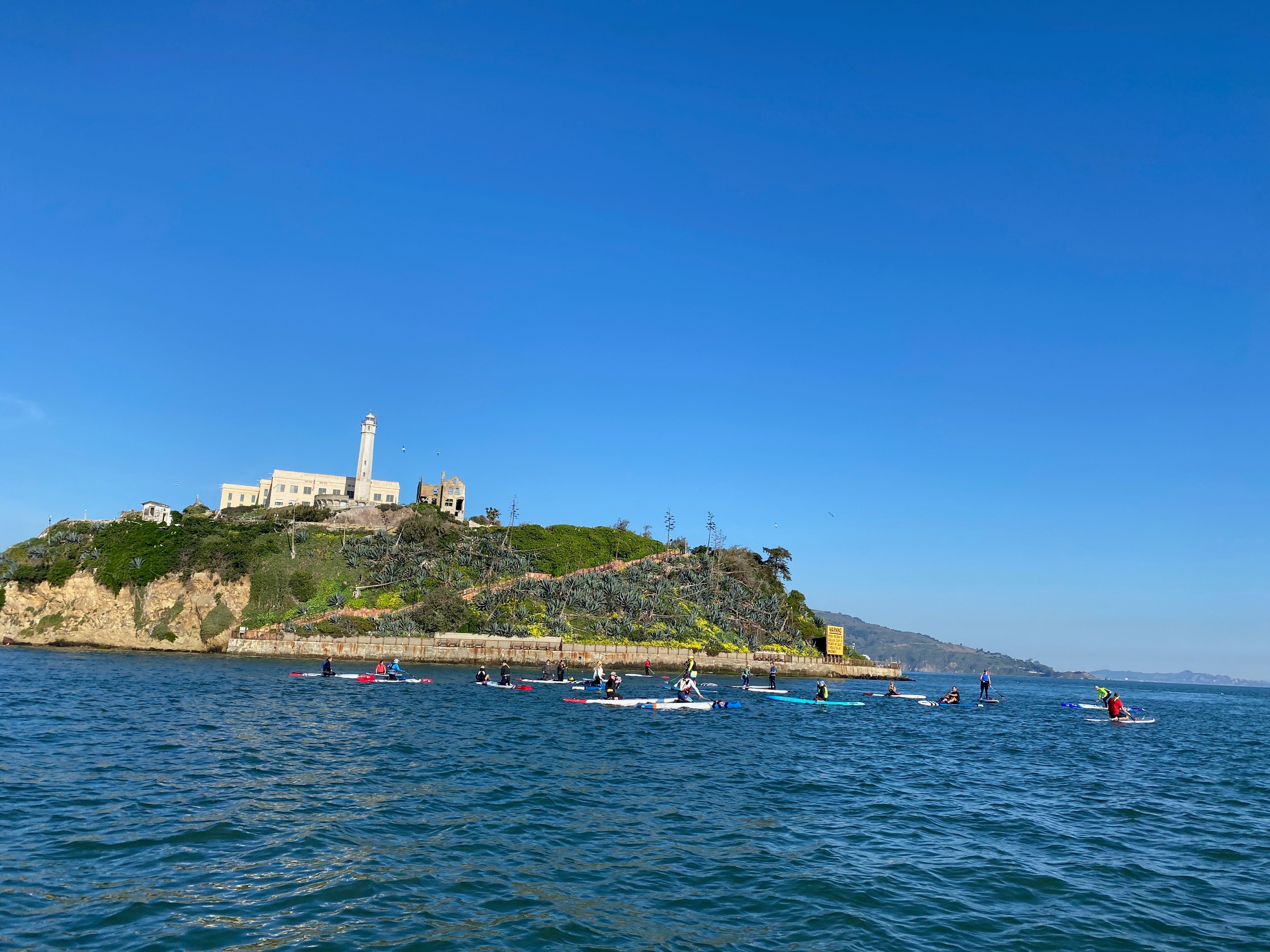 image of SUP paddle boarders in front of Alcatraz Island