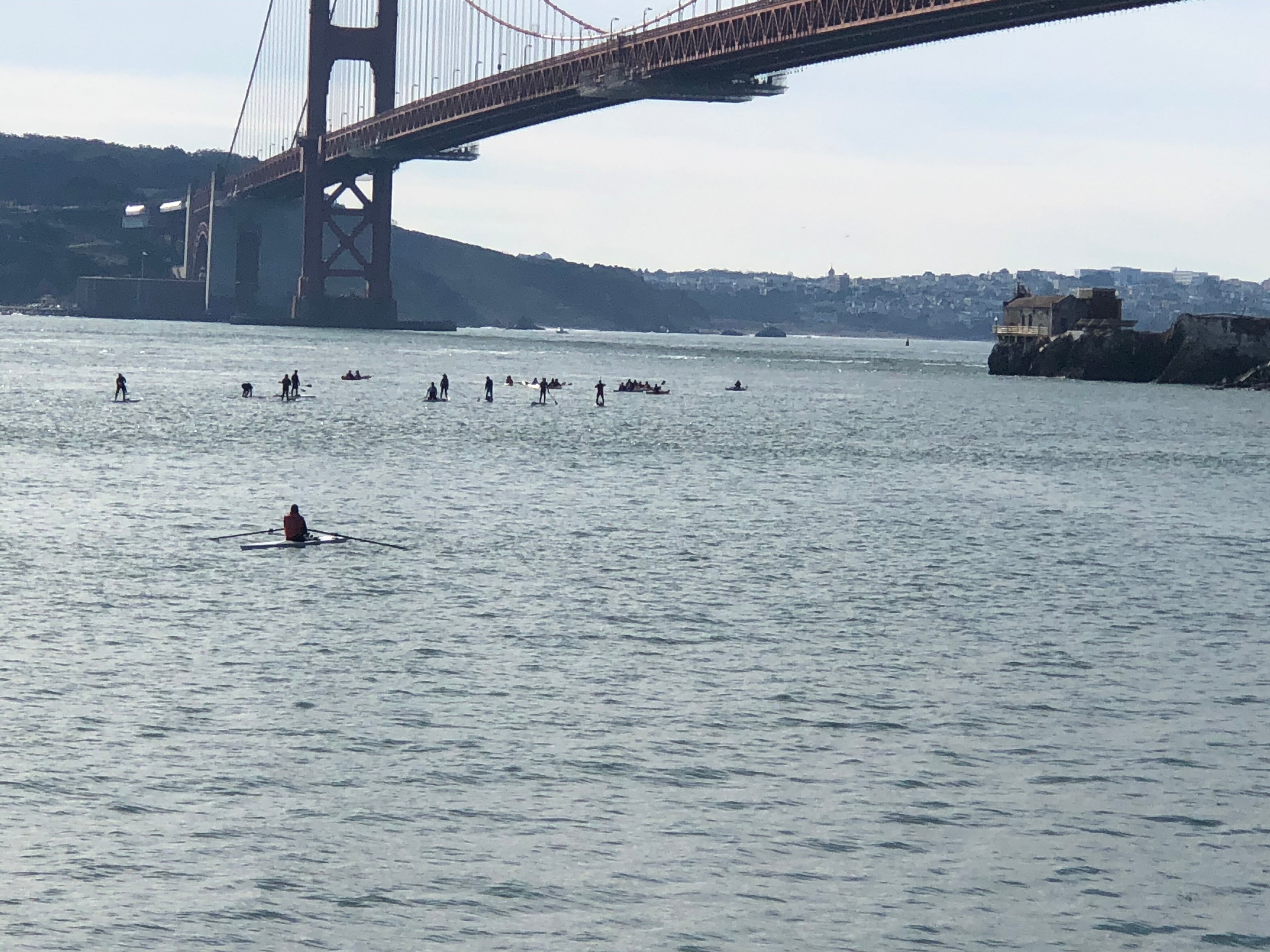 paddle boarders under the golden gate bridge