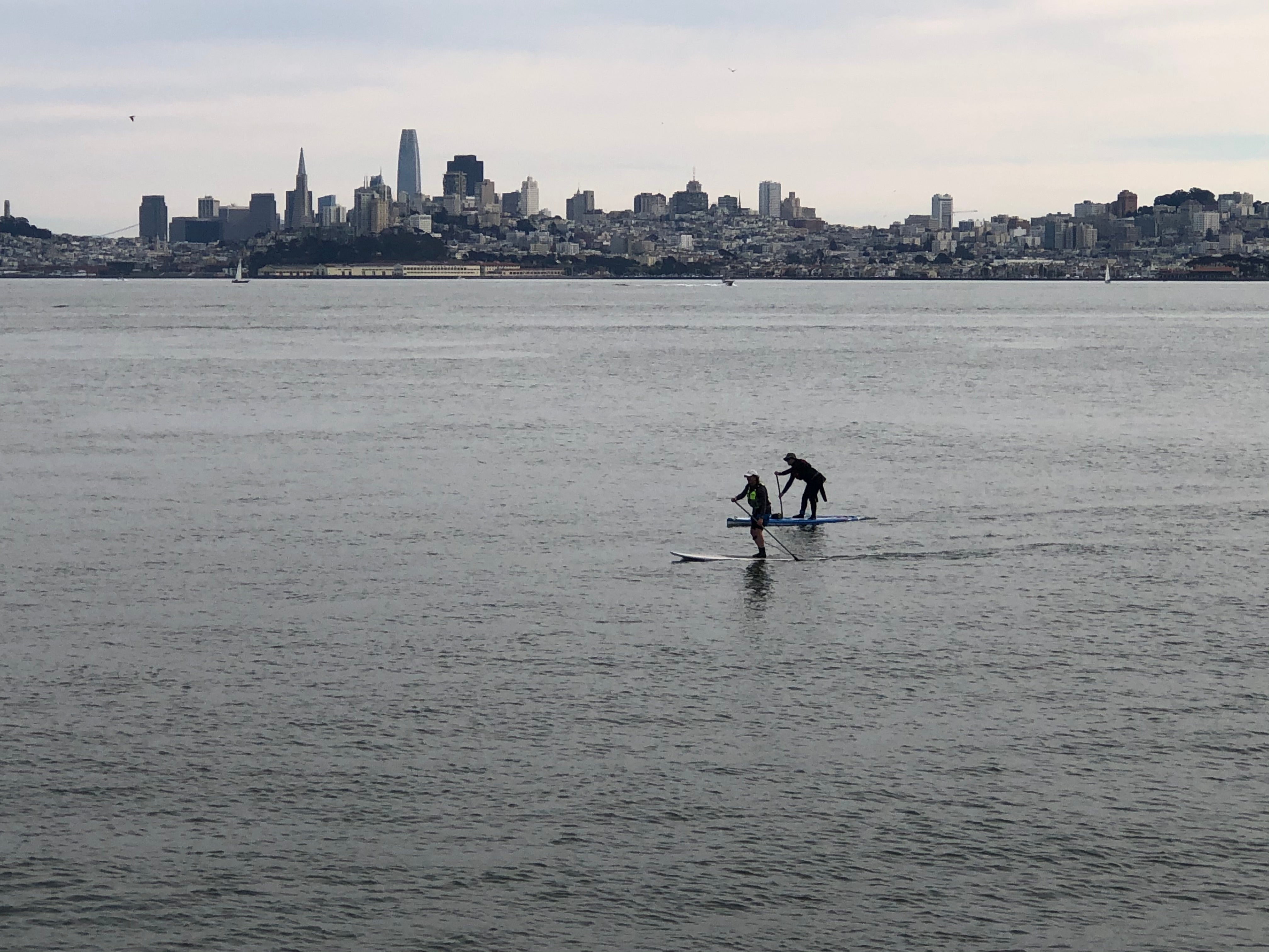 SUP paddle boarders in San Francisco bay