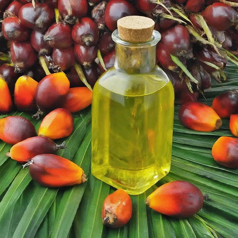 Palm Oil