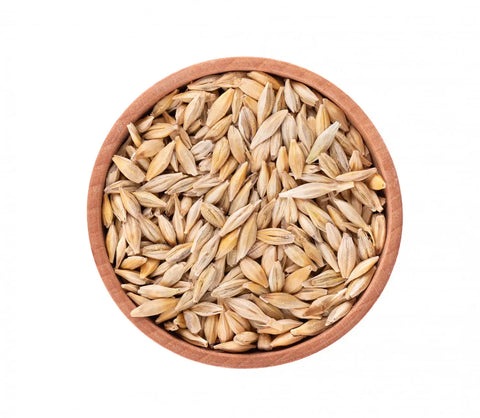 Barley