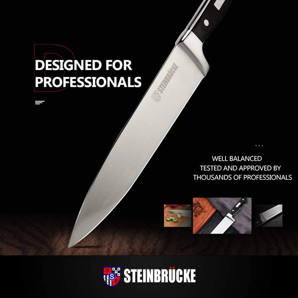 10-inch Chef's Knife Professional