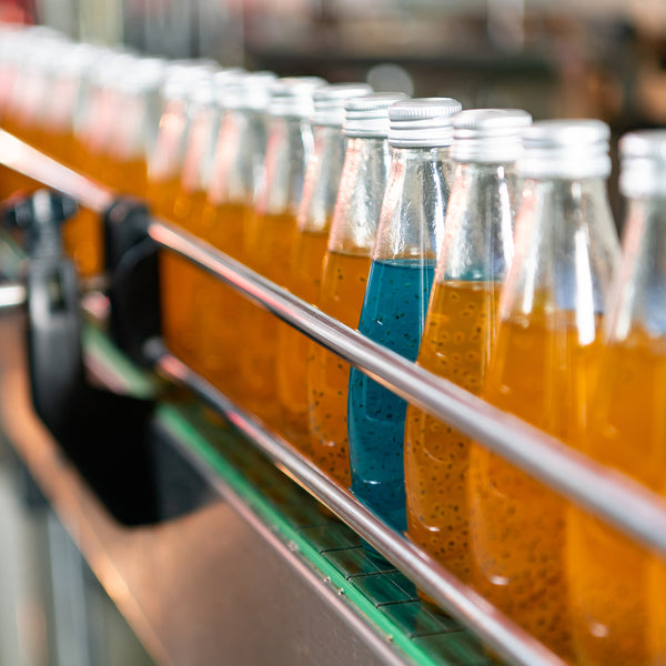 Liquid or beverage production and packaging line showing glass bottles lined up on a motorized conveyor after being filled using liquid filling equipment