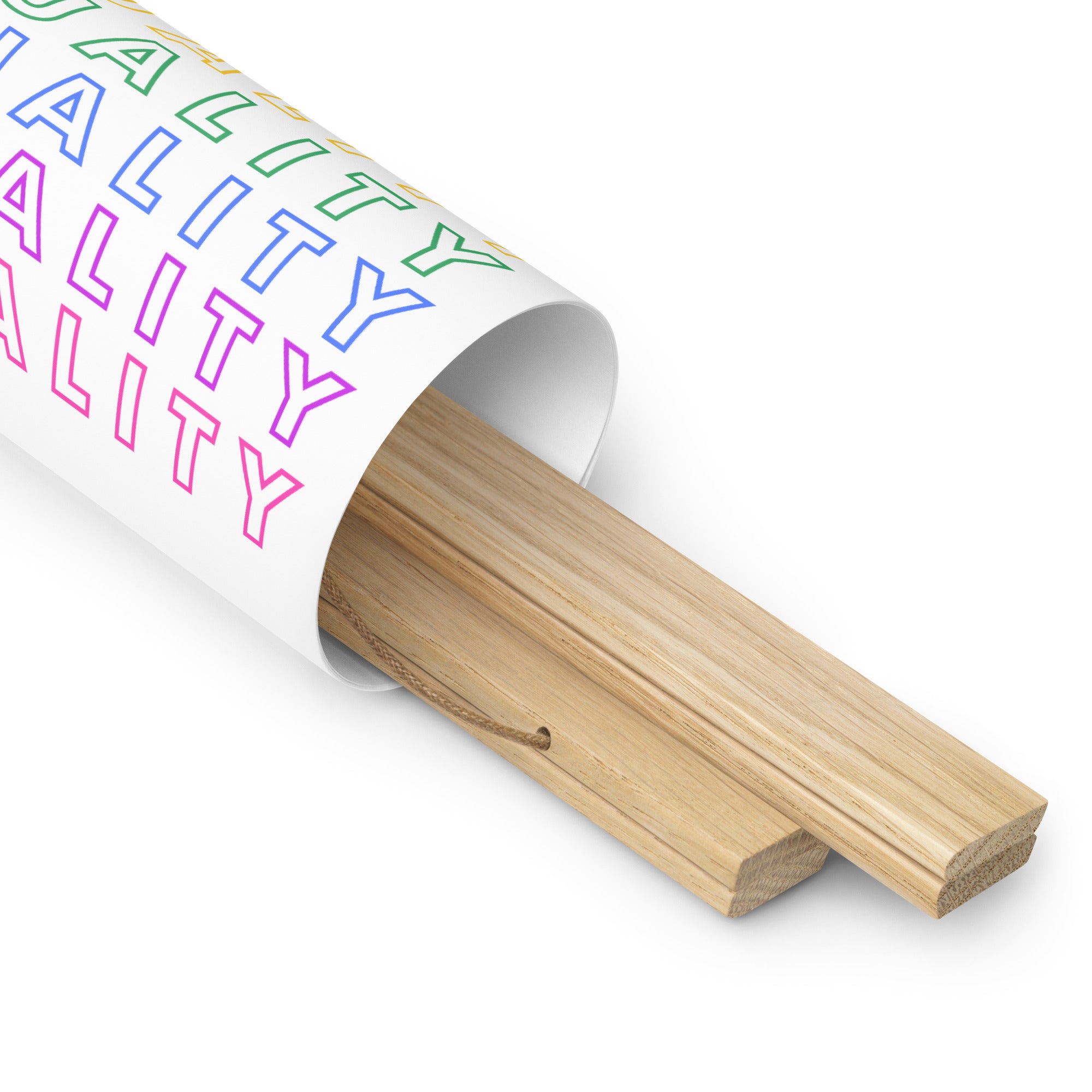 Equality - Poster with Hangers