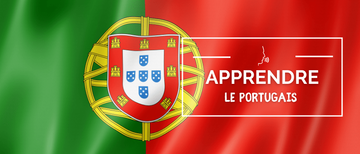 Dictionnaires d'occasion pour apprendre le portugais