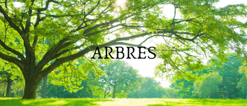 Livres d'occasion sur les arbres