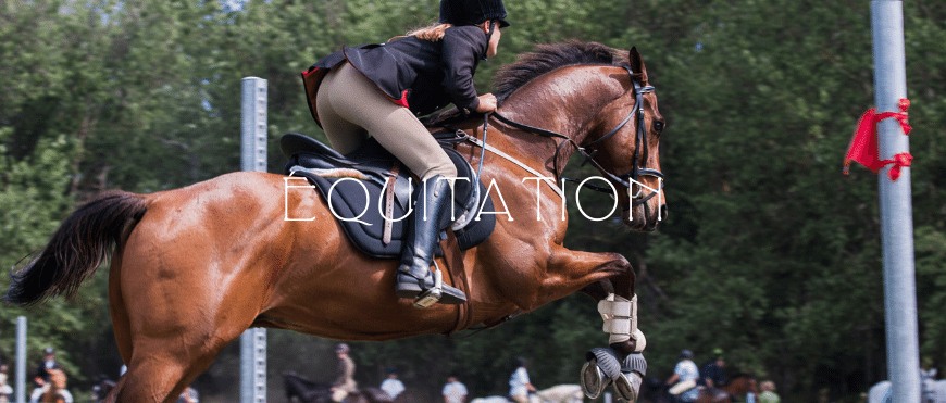 Livres d'occasion sur l'équitation et les sports équestres – Livrenpoche