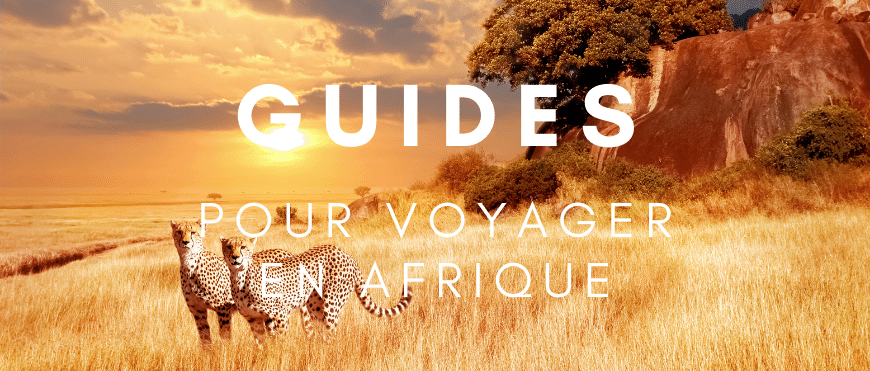 Guides d'occasion pour voyager en Afrique