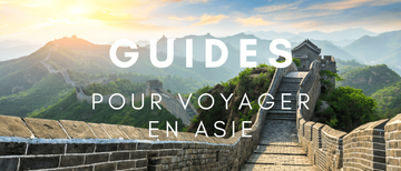 Guides d'occasion pour voyager en Amérique du Sud