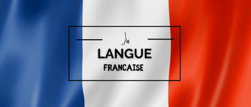 Dictionnaires d'occasion pour apprendre la langue française