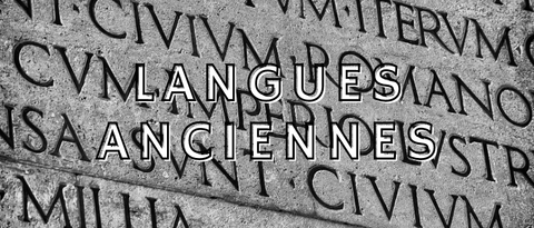 Dictionnaires d'occasion de  langues anciennes