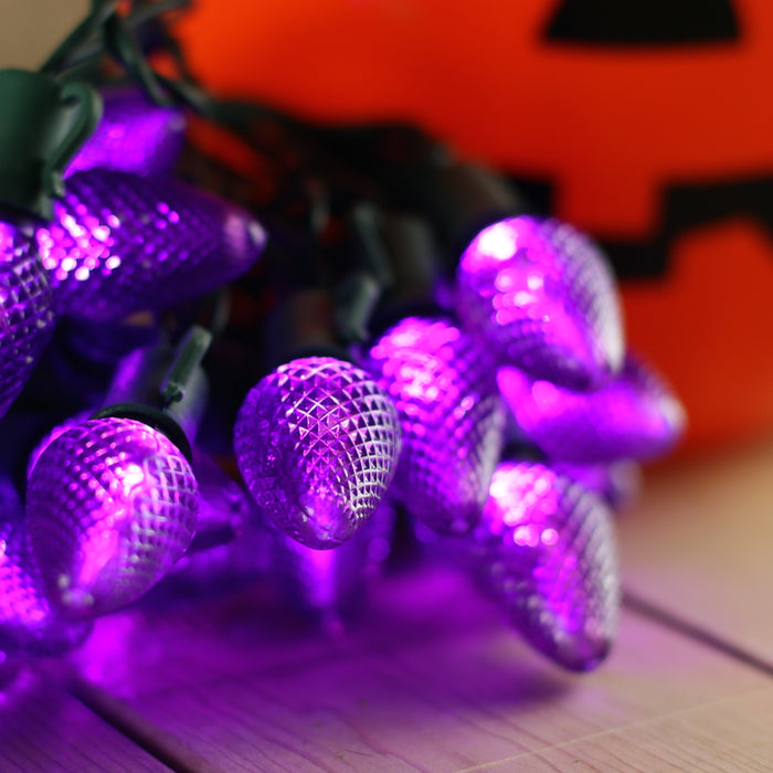 25light C7 Purple LED Christmas Lights (Nonremovable bulbs