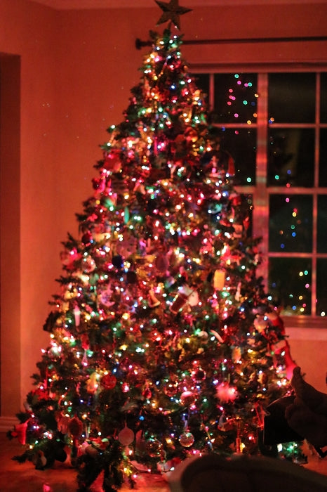 Multi Colored Christmas Lights