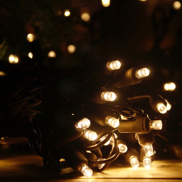 Catena Lijkenhuis kast 20-light Warm White LED Craft Lights, Brown Wire – Christmas Light Source