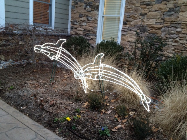 Dolphins outlined with pure white rope light – Christmas Light Source