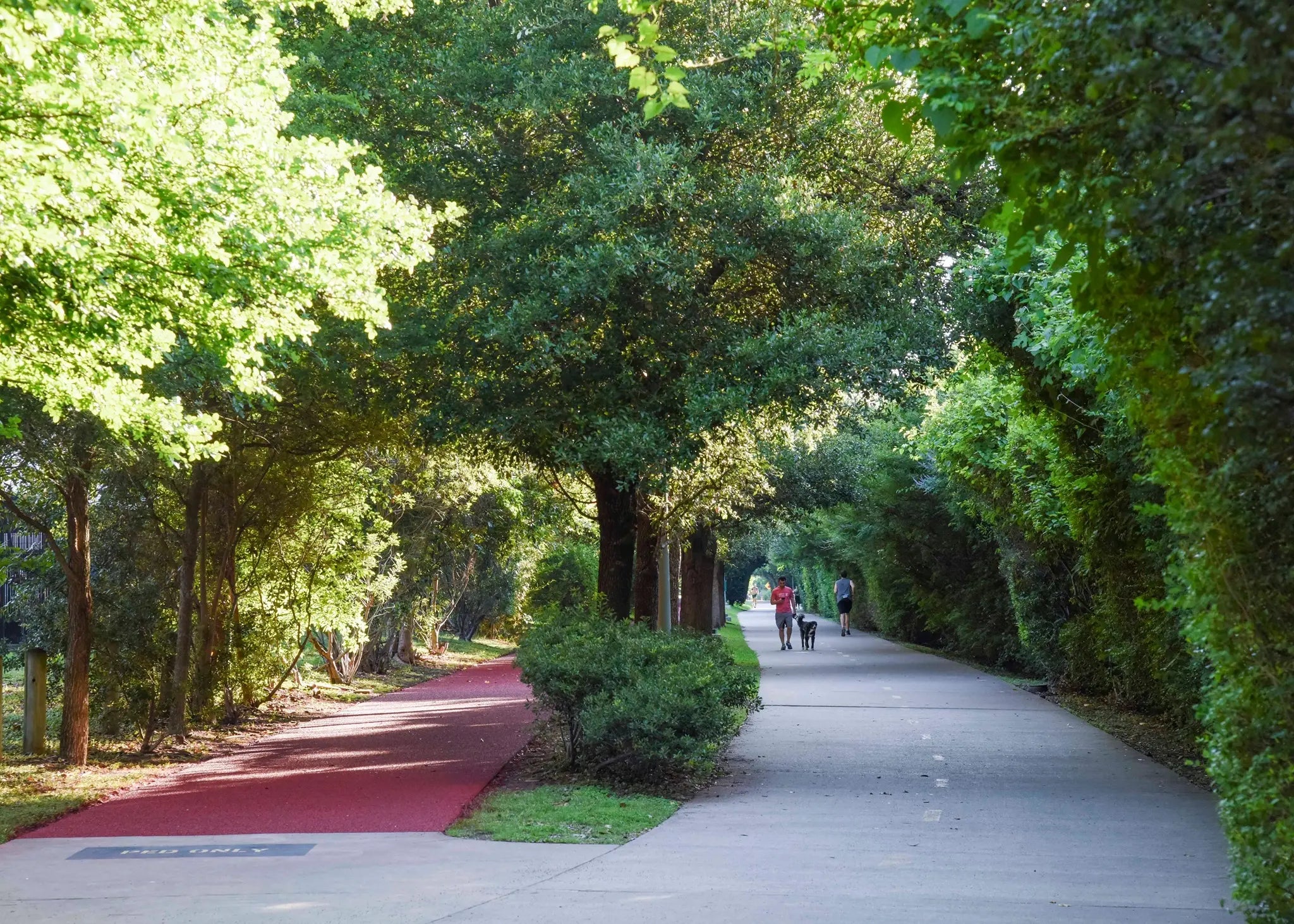 Katy Trail