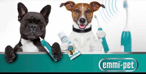 emmipet toothpaste