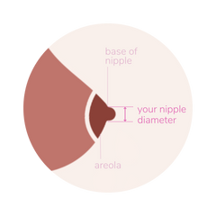 diagram of a breast and areola and nipple, showing the nipple measurement