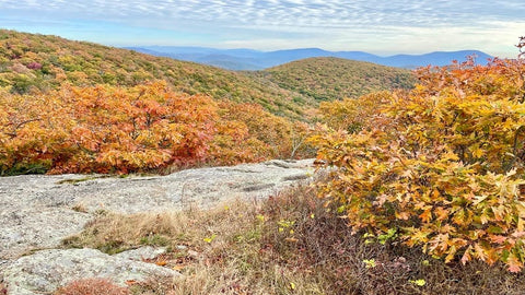 Spy Rock, a 360 panoramic view of the vast mountain landscape, located just off the Appalachian Trail in Virginia.