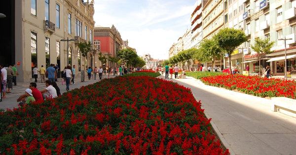 Visit Braga Portugal