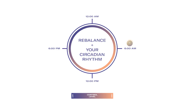 rebalance + your circadian rhythm