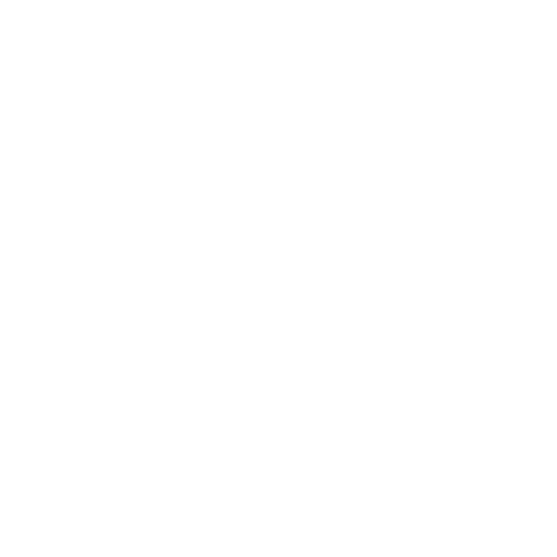 brain icon