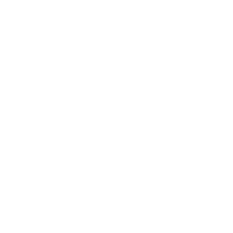 thermometer icon