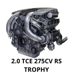 RENAULT MEGANE MK3 2008-2016 2.0 TCE 275 RS TROPHY