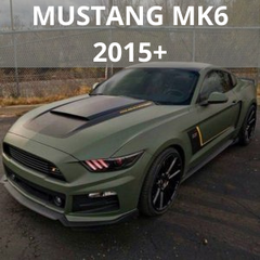 Ford MUSTANG MK6 2015+
