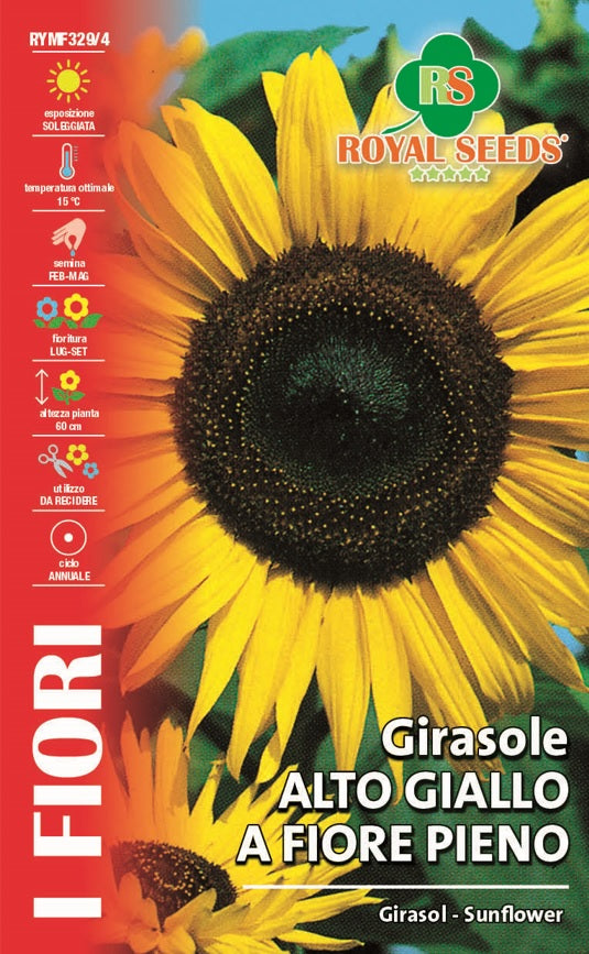 Girasol Sunflower Royal Seed RYMA329/4
