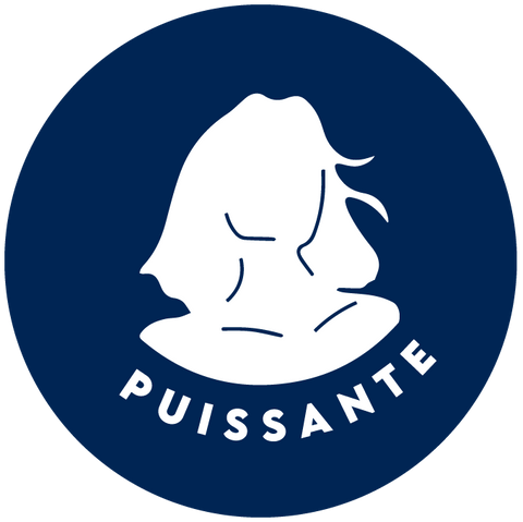 puissante-logo-image