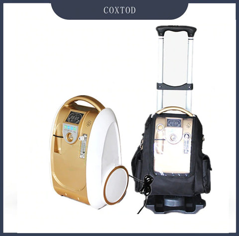 1L-5L/Min Trolley 24hours continuous Portable Oxygen