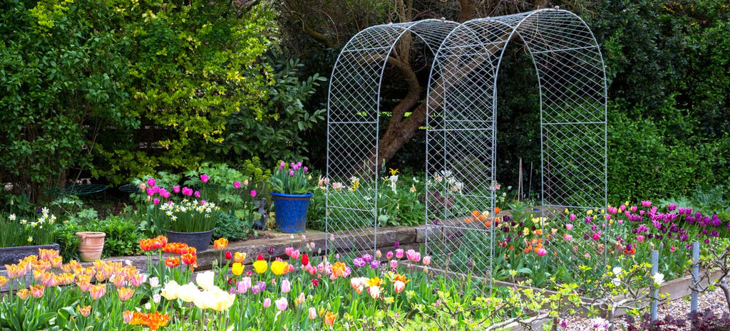 Agriframes Round arch with beautiful tulips