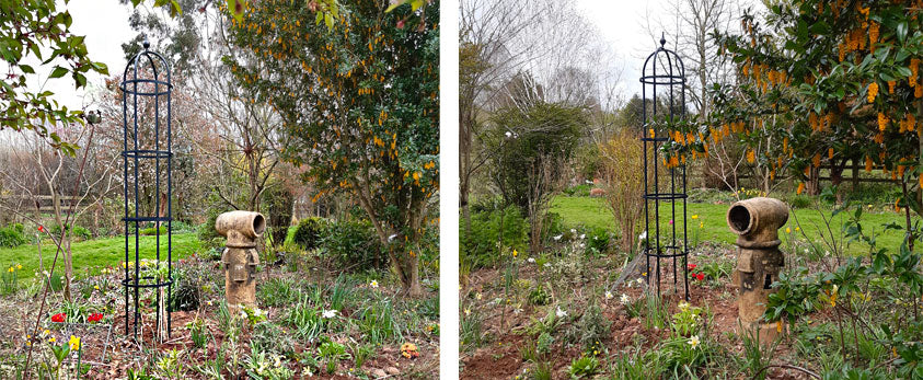 helen brown Devon winner NGS garden