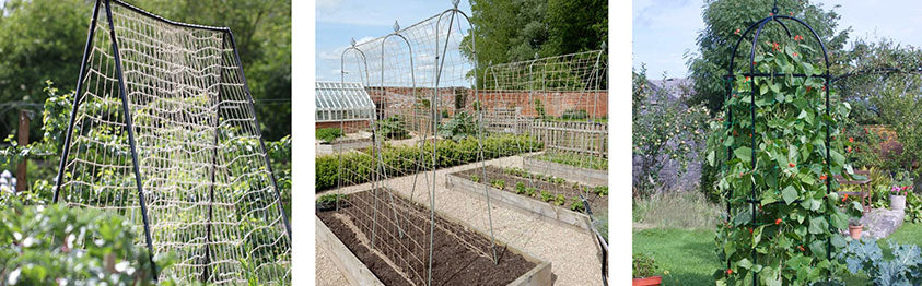 kitchen garden 