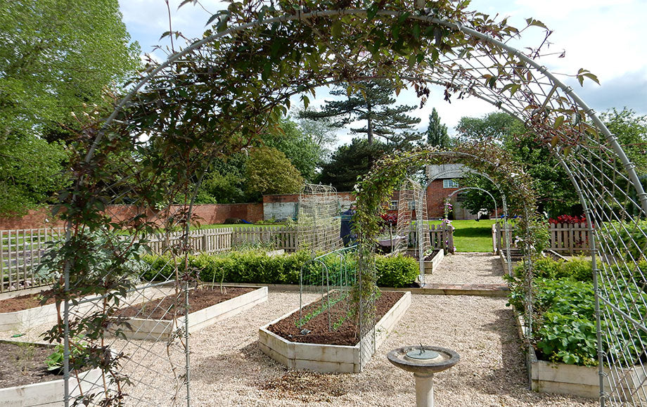 raised beds