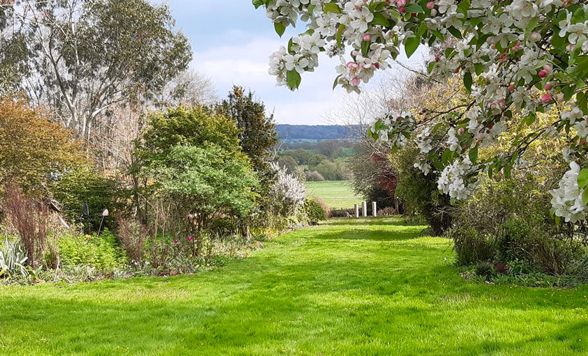 helen brown Devon winner NGS garden