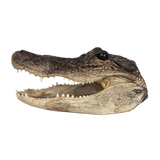 alligator head