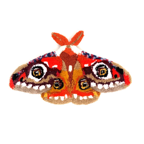 emperor moth