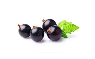 Blackcurrant non alcoholic drinks Blackcurrant non alcoholic drinks