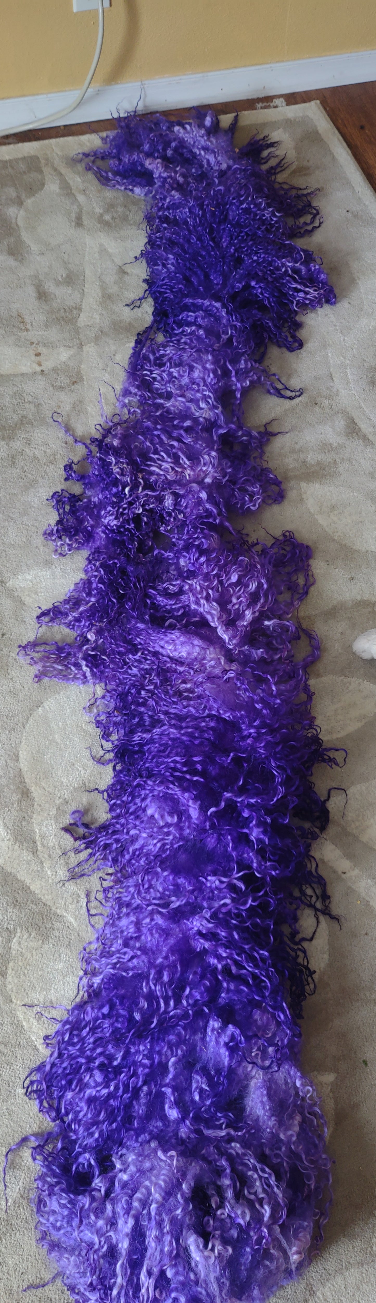Beautiful lilac wisteria dyed 2 lb semi felted on bavk 1st clip Teeswater great for pulling locks