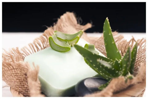 Aloe Vera Soap Base