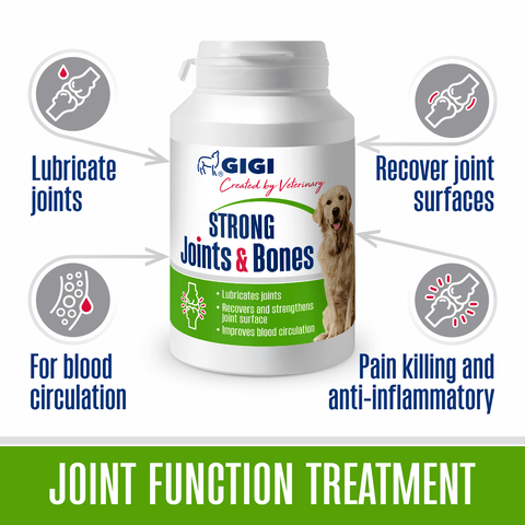 dog joint and bone treatment