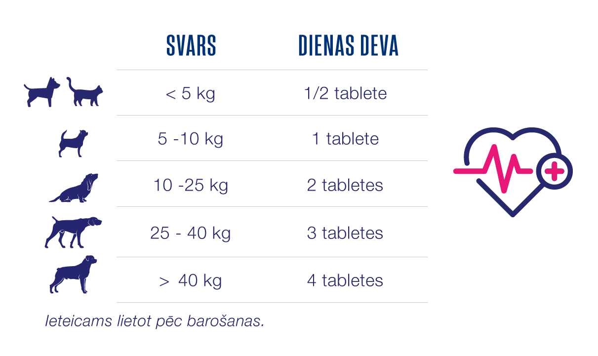 labākie vitamīni kaķu sirdīm